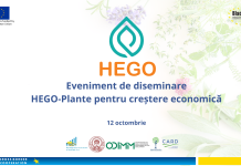 Industria plantelor medicinale și aromatice, susținută printr-un proiect transfrontalier