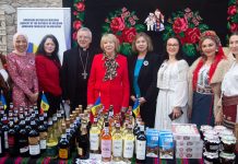 Larisa MICULEȚ, Ambasadorul Extraordinar și Plenipotențiar al Republicii Moldova în Irlanda