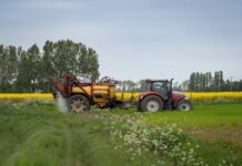 Importurile de îngrășăminte fosfate în Republica Moldova: amofos și sulfoamofos