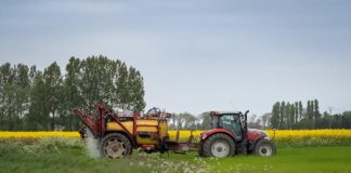 Importurile de îngrășăminte fosfate în Republica Moldova: amofos și sulfoamofos