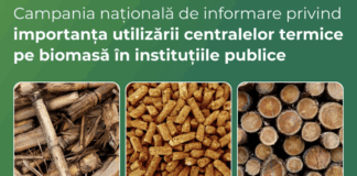 Biocombustibililor solizi: importanța utilizării în sectorul public şi cel privat