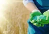 Importurile de îngrășăminte în Republica Moldova în cifre