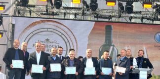 Polobocul de Aur 2024 și-a găsit câștigătorii: cele mai bune vinuri de casă din Moldova