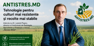 Dr. Leonid Popov – cercetarea care oferă agriculturii un nou avantaj competitiv